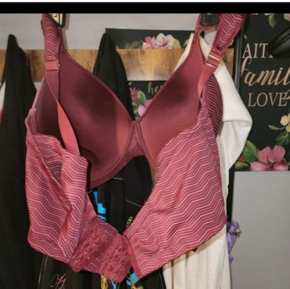 NWOT ASHLEY STEWART DOUBLE HOOK BRA 44F - Picture 5 of 5